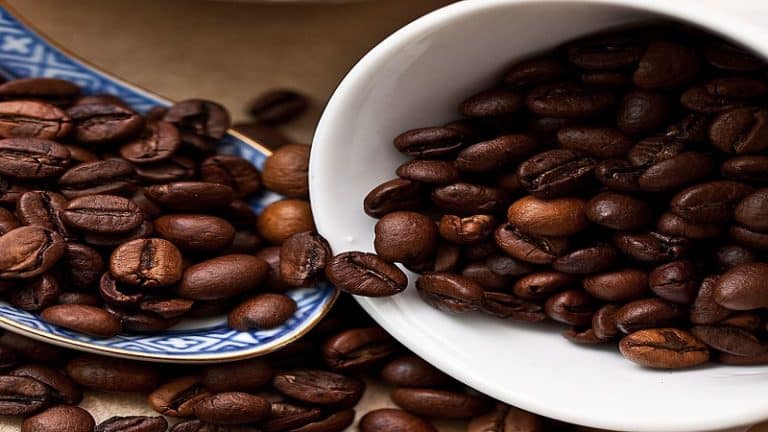 The Difference Between Italian Roast And French Roast - 3 Amazing Facts