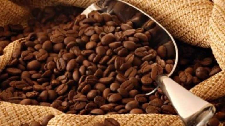 Cameroon Coffee: World's Strongest Coffee