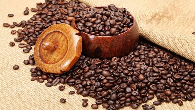 Honduran Coffee: An Amazing Cup To Start Your Day
